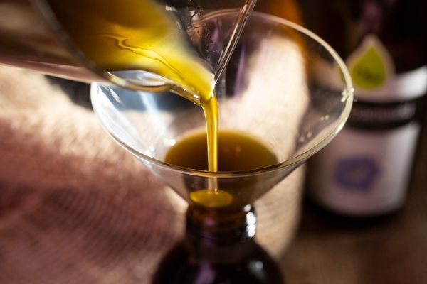 Olej z czarnuszki dla dzieci + Tran dla dzieci + syrop z jagody kamczackiej zdjęcie 15