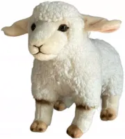 product-compare-61980987