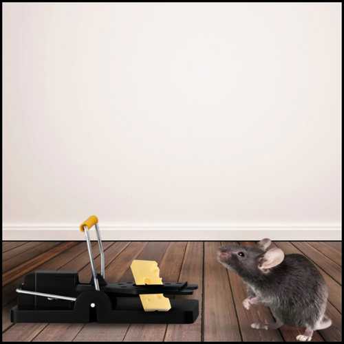 2XPUŁAPKA KLASYCZNA GILOTYNOWA NA SZCZURY MYSZ GRYZONIE PLASTIKOWA SPRĘŻYNA na Arena.pl