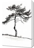 Obraz 40x60cm Samotna Sosna