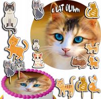 product-compare-58013686