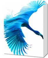 Obraz 30x40cm Błękitny Lot
