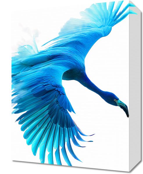 Obraz 30x40cm Błękitny Lot zdjęcie 1