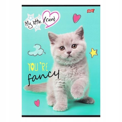 2 x MY LITTLE FRIEND ZESZYT A4/32 kratka z marginesem dla dziewczynki 8302 na Arena.pl