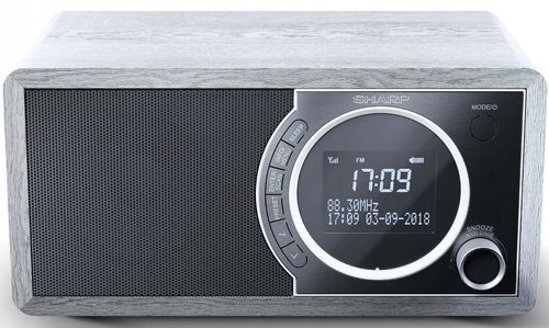 Radio cyfrowe SHARP DR-450(GR) Szary Bluetooth na Arena.pl