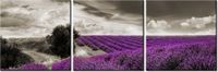 70 90CM OBRAZ 3 ELEM LAWENDOWY WIDOK ŚCIENNY DRUK PŁÓTNO