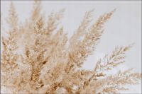 Tło FLAT LAY do fotografii produktowej kulinarnej