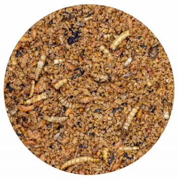 Insekty mielone+ spirulina 500g (Insect patee) - Arena.pl