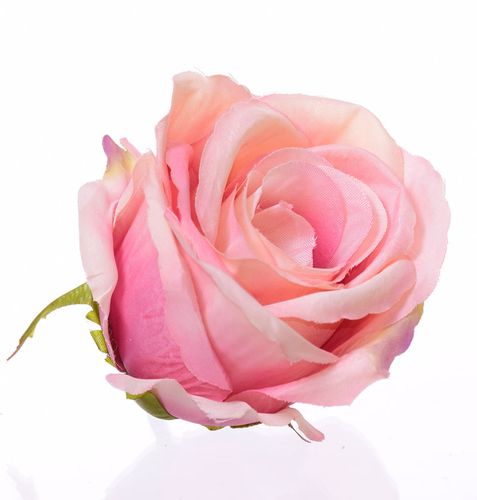 Róża wyrobowa krem róż na Arena.pl