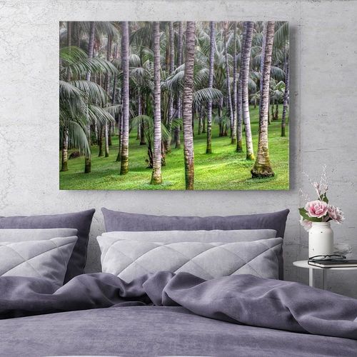 Obraz na płótnie - Canvas, Las palmowy 60x40 na Arena.pl
