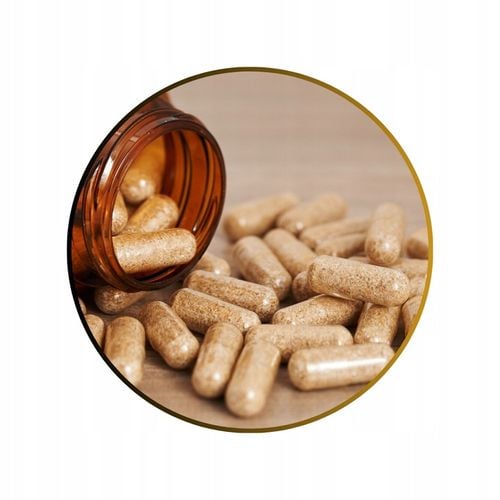 TESTOSTERON tabletki | Naturalny Booster TESTOSTERONU | ManLife TestoBear na Arena.pl