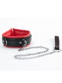 red collar and leash
