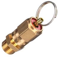 zawór bezpieczeństwa 1/4"gz  8bar air tek