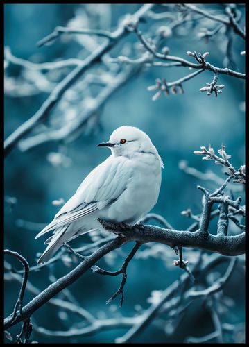 Plakat 64x90cm Perłowy Ptak na Arena.pl