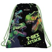 WOREK NA OBUWIE DINOZAUR 20 DERFORM