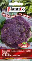 NASIONA Kalafior Di Sicilia Violetto 0,2g PLANTICO Fioletowy 402652