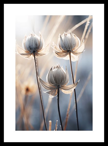 Plakat 20x30cm Poetycka Jesień zdjęcie 3