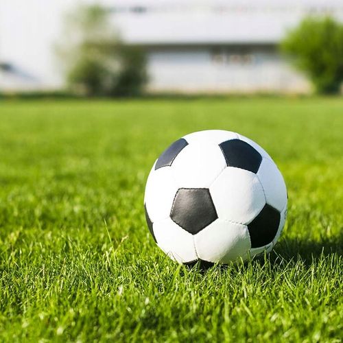 Trawa BARENBRUG RPR Lawn 1kg na Arena.pl