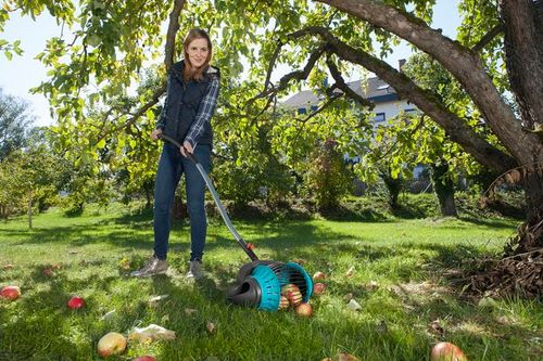 zbierak do owoców -cs - hg-03108-20 na Arena.pl