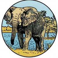 Opłatek na tort Słoń Słonik Trąbalski 18 30 40 50 60 Urodziny