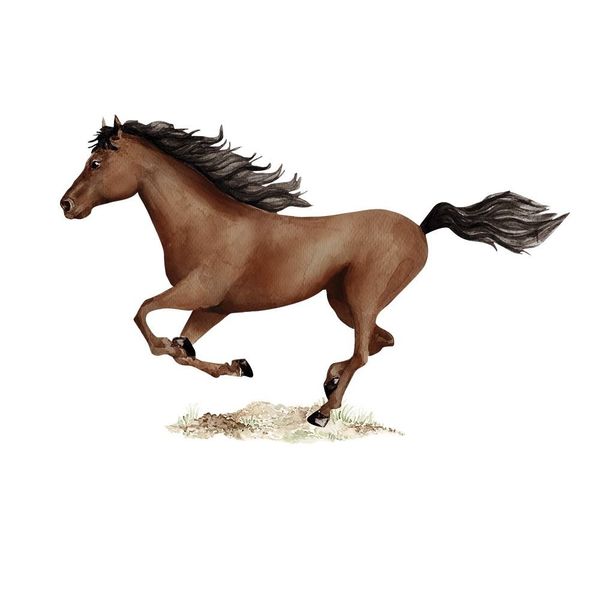 Naklejka Koństanty Brązowy DK378 XXL zdjęcie 3