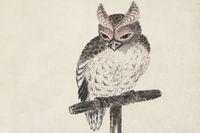 Plakat 30x20cm Owl 2, Hokusai Japoński Vintage do Salonu