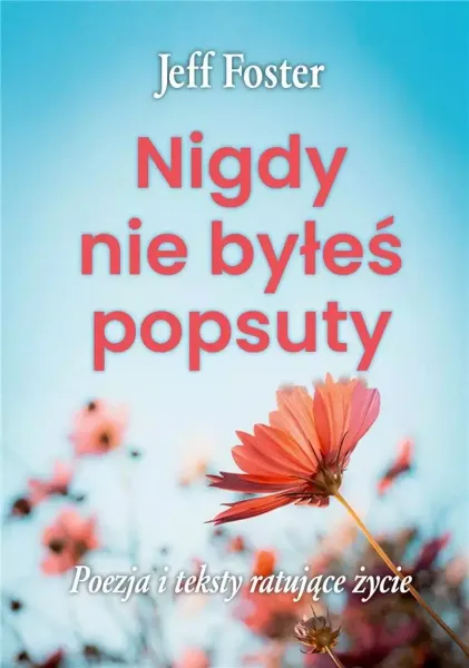 Nigdy nie byłeś popsuty zdjęcie 1
