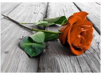 50X70CM RÓŻYCZKA OBRAZ POKOJU DREWNINE