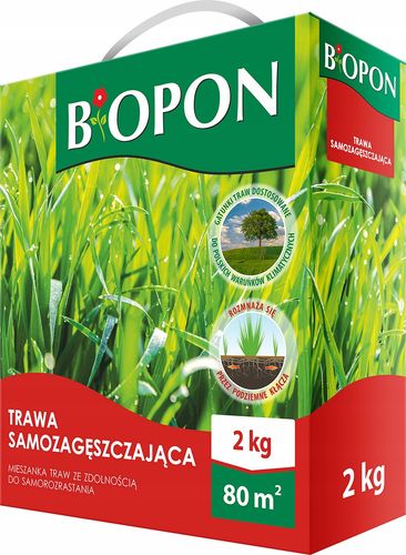 BOPON - Trawa Samozagęszczająca 80 m² - 2 kg na Arena.pl