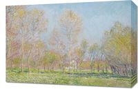 product-compare-59587387