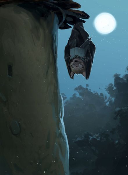 Everdell: Stacja Nowoliść zdjęcie 2
