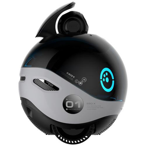 inteligentny robot towarzyszący enabot   ebo x na Arena.pl
