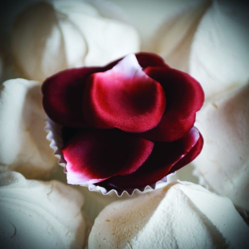 Płatki róż - Bijoux Indiscrets Rose Petal Explosion na Arena.pl