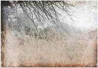 Fototapeta Na Flizelinie Do Sypialni Salonu Łąka 250x175