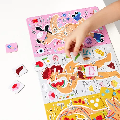 Puzzle 96 elementów. Tak działa Moje ciało na Arena.pl