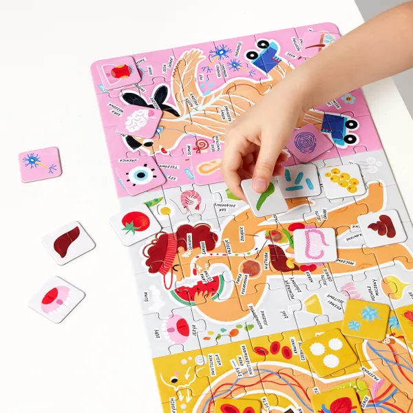 Puzzle 96 elementów. Tak działa Moje ciało zdjęcie 4