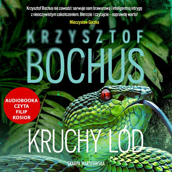 (mp3) Kruchy lód zdjęcie 1