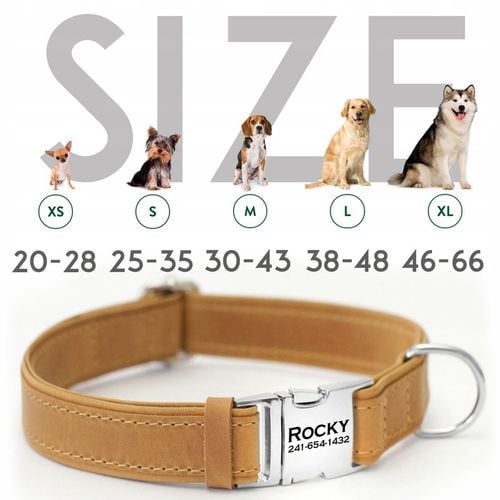 Obroża dla psa Blue z metalową klamrą rozmiar XS na Arena.pl