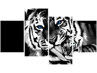 140CM 70 OBRAZ TYGRYSY ŚCIENNY