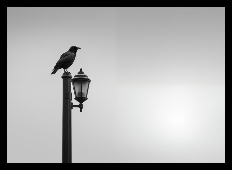 Plakat 35x25cm Samotny Postój Kruka zdjęcie 2