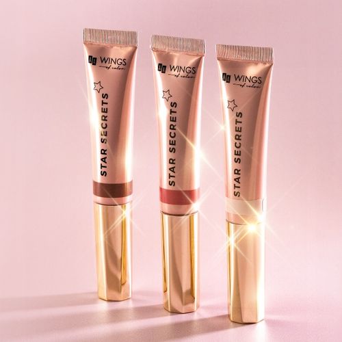 Zestaw AA WINGS OF COLOR The Wet Contouring - bronzer, róż i rozświetlacz na Arena.pl