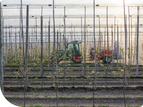 ŚRODEK CHWASTOBÓJCZY 1L NA WSZYSTKIE CHWASTY SINGLIF 360 SL GLIFOSAT na Arena.pl