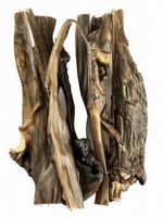 Balto Skóra Sarny Odcinki 15Cm 250G