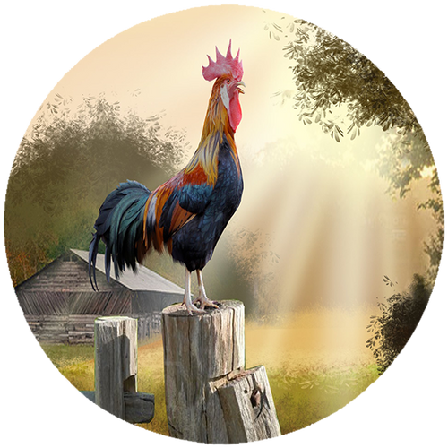 Podkładka pod myszkę Kury na Arena.pl