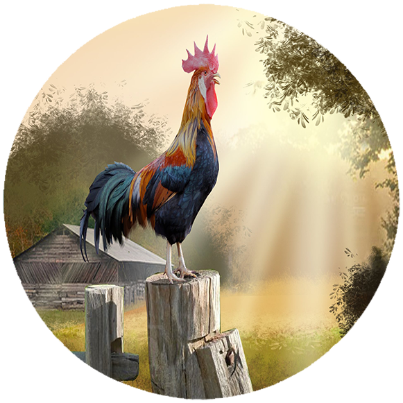 Podkładka pod myszkę Kury zdjęcie 2