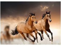 50X70CM STADO KONI OBRAZ POKOJU DREWNINE