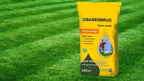 Trawa Barenbrug WATER SAVER 5kg NA SUCHE TERENY OTOCZKOWANE NASIONA na Arena.pl
