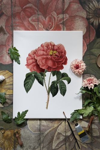 Plakat cyfrowy do wydruku czerwon róża na Arena.pl