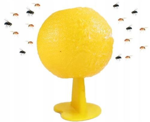 ŻÓŁTY LEP PUŁAPKA KLEJOWA NA MUSZKI MSZYCE ZIEMIÓRKI OWOCÓWKI OWADU na Arena.pl