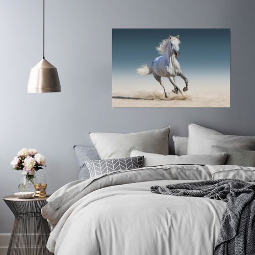 Obraz na płótnie - Canvas, Koń w galopie 40x60 na Arena.pl